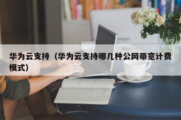 华为云支持（华为云支持哪几种公网带宽计费模式）