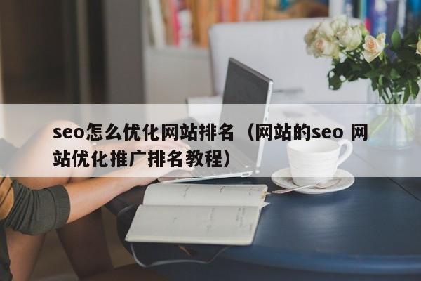 seo怎么优化网站排名（网站的seo 网站优化推广排名教程）