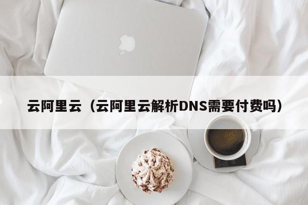 云阿里云（云阿里云解析DNS需要付费吗）