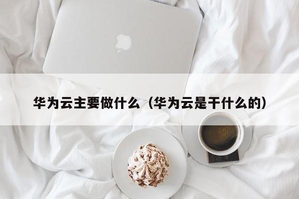 华为云主要做什么（华为云是干什么的）