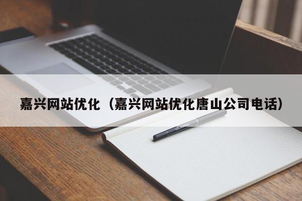 嘉兴网站优化（嘉兴网站优化唐山公司电话）