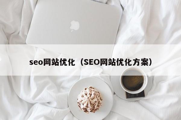 seo网站优化（SEO网站优化方案）