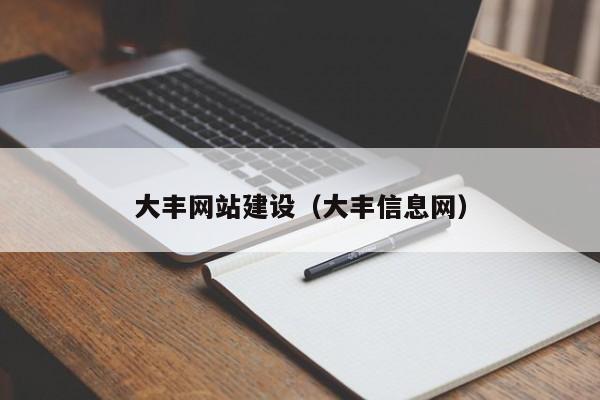 大丰网站建设（大丰信息网）