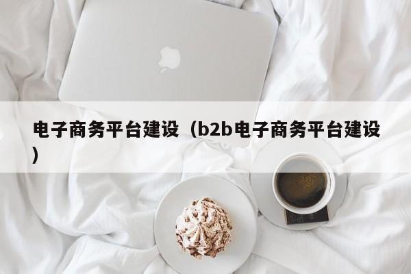 电子商务平台建设（b2b电子商务平台建设）