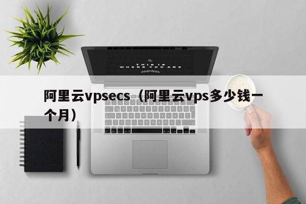 阿里云vpsecs（阿里云vps多少钱一个月）